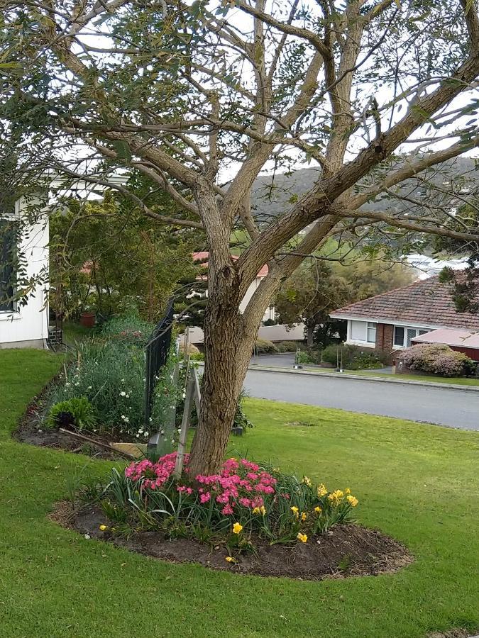 Bed and Breakfast C'est La Vie Albany Exterior foto